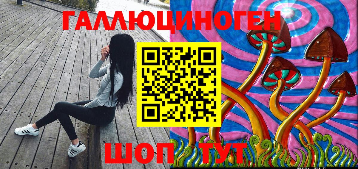 Псилоцибиновые грибы GOLDEN TEACHER Чистополь