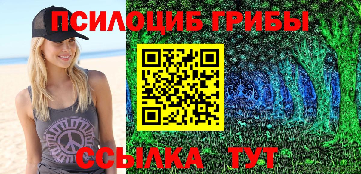 Псилоцибиновые грибы GOLDEN TEACHER  Вход с VPN  Галлюциногенные грибы MAGIC MUSHROOMS  Чистополь 